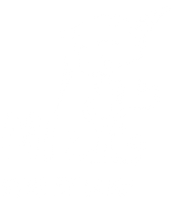 Mistreetsurf